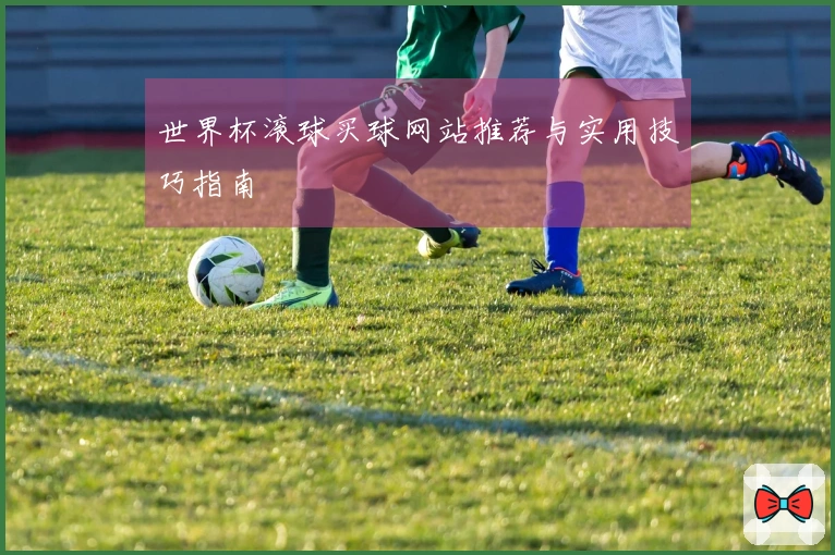 世界杯滚球买球网站推荐与实用技巧指南