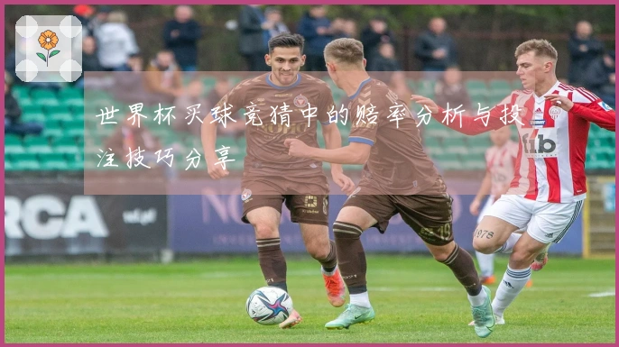 世界杯买球竞猜中的赔率分析与投注技巧分享