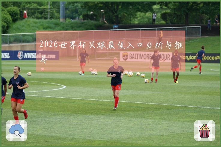 2026世界杯买球最佳入口分析与推荐