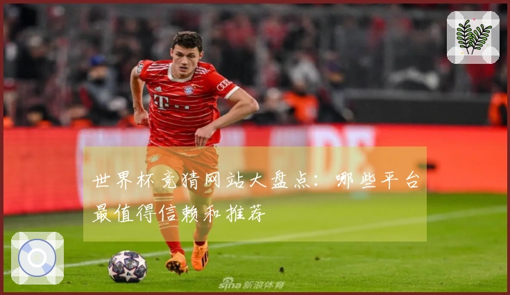 世界杯竞猜网站大盘点：哪些平台最值得信赖和推荐