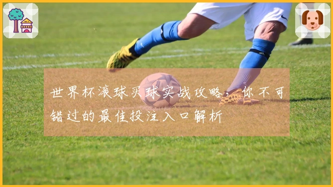 世界杯滚球买球实战攻略，你不可错过的最佳投注入口解析
